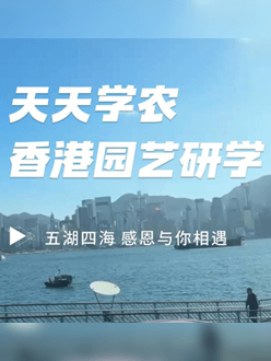 与香港园艺学会联合举办香港园艺研学，专业园境师带队讲解。